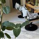 伊藤 紀子のプロフィール画像