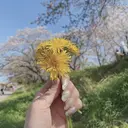 ance 静岡駅前店のプロフィール画像