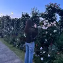 Noa harukaのプロフィール画像