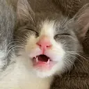 bs-nail金山/ 山村のプロフィール画像