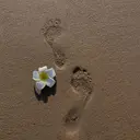 青山 ひまりのプロフィール画像