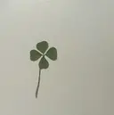 ヤマモト 西船橋のプロフィール画像