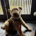 Mai andme月島店のプロフィール画像