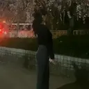 ニトウ レイナ🌺🌴🐠のプロフィール画像