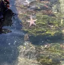 アイブロウRain Chinatsuのプロフィール画像