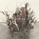 渡辺 志歩のプロフィール画像