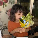 横内 英奈のプロフィール画像