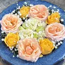 重田 香陽のプロフィール画像