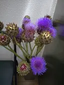 aブラスサロン銀座 門脇のプロフィール画像