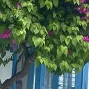 HairSalon Arte(担当島村)のプロフィール画像