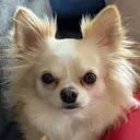 Three いわなべのプロフィール画像