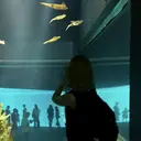 MAXKELLY 梅田店　yukariのプロフィール画像