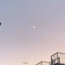 藤本 あすかのプロフィール画像