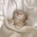 エサージュオム銀座 店のプロフィール画像