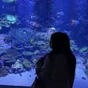 大阪江坂 Kaiのプロフィール画像