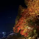 入佐 美聡のプロフィール画像