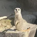 BellaLuna 高橋のプロフィール画像