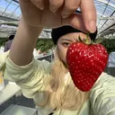 希優🌺ソムリエ /ブリーチ/カットのプロフィール画像