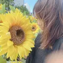 橋本 香織のプロフィール画像