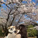 PuaMo. JUNA🐇ྀིのプロフィール画像