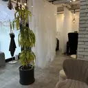 milla 🌼saitou🌼のプロフィール画像