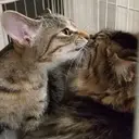 ヒナタ🧚 eyelaのプロフィール画像