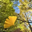 山中 愛理花のプロフィール画像