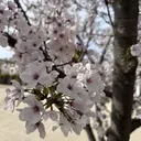 さかた あきなのプロフィール画像