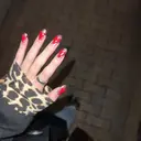 瀬崎 椎奈のプロフィール画像