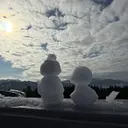 冨田 紗帆のプロフィール画像