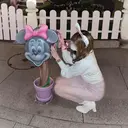 松森 小夏のプロフィール画像