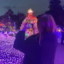 🌼ハイライト透明感 🌼maiのプロフィール画像