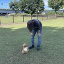 🔥金山 諒平🔥のプロフィール画像