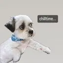 Konno Manamiのプロフィール画像