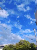 星野 瑛未のプロフィール画像