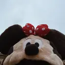 🫧bloom296 momoka🫧のプロフィール画像