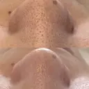 La･Bellvie 【星ヶ丘店]のプロフィール画像