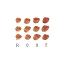 roof nailのプロフィール画像