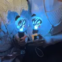 sarah 反葉のプロフィール画像