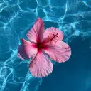 🌴konami 4U NAIL🥥のプロフィール画像