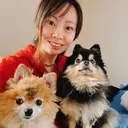 出張リラク/ペット 空 -sora-のプロフィール画像