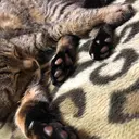 前地 麻衣のプロフィール画像