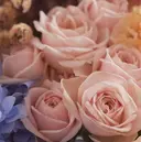 jujur 稲毛店のプロフィール画像