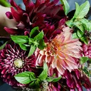 まつげ、毛穴 TREEのプロフィール画像