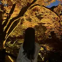 ノールートロゼ 伊藤のプロフィール画像