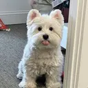 ☂️chihiro 🌂のプロフィール画像