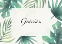 Gracias. rieのプロフィール画像