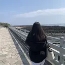 田村 恵のプロフィール画像