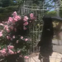 坂口 友莉香のプロフィール画像