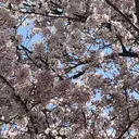 牧野 ひなたのプロフィール画像